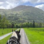 Horse-Drawn Carriage Tours in Killarney - What You Can Expect During the Tour