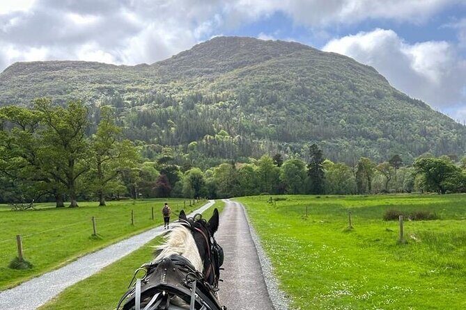 Horse-Drawn Carriage Tours in Killarney - What You Can Expect During the Tour