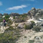 Horse ride in Haute Provence Luberon and Forcalquier - Authentic Reviews and Insights