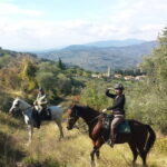 Horse ride, Olive Oil and local foods tasting in a Tuscan farm - Who Should Consider This Tour?