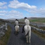 Horse riding - Burren Trail. Lisdoonvarna, Co Clare. Guided. 3 hours. - Value and Overall Impression