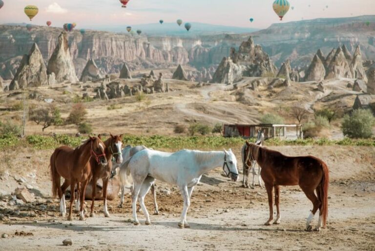 Horse Riding Cappadocia- Cappadocia Horse Farm - Authenticity and Quality
