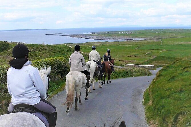 Horse riding - Dirt Trek Trail. Lisdoonvarna, Clare. Guided. 1 hour. - What to Expect During the One-Hour Trek