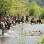 Horse Riding Experience in Marmaris with Transfer - Why This Tour Offers Good Value
