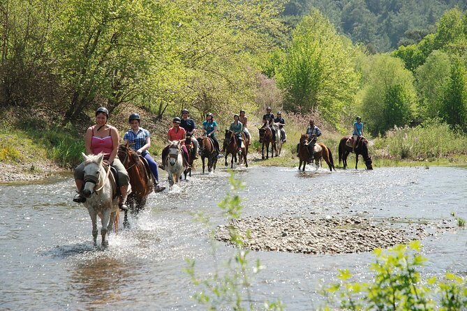 Horse Riding Experience in Marmaris with Transfer - Why This Tour Offers Good Value