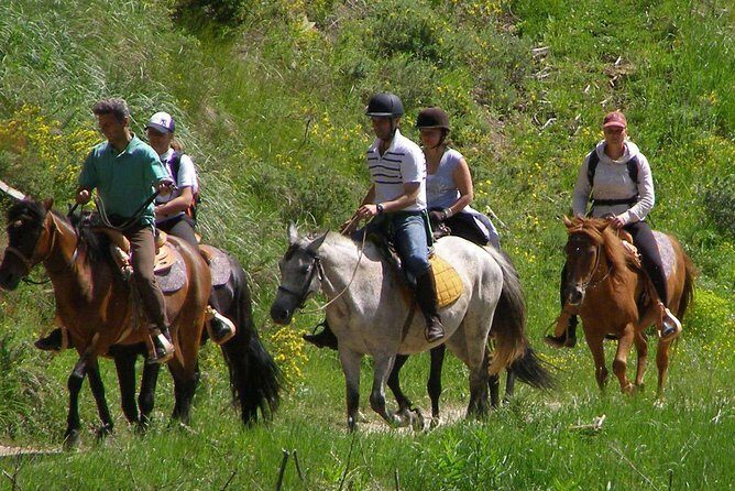 Horse Riding From Kusadasi Port / Hotels - What We Love About This Tour