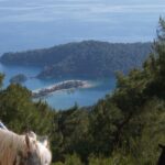 Horse Riding in Fethiye - Who Will Love This Tour?
