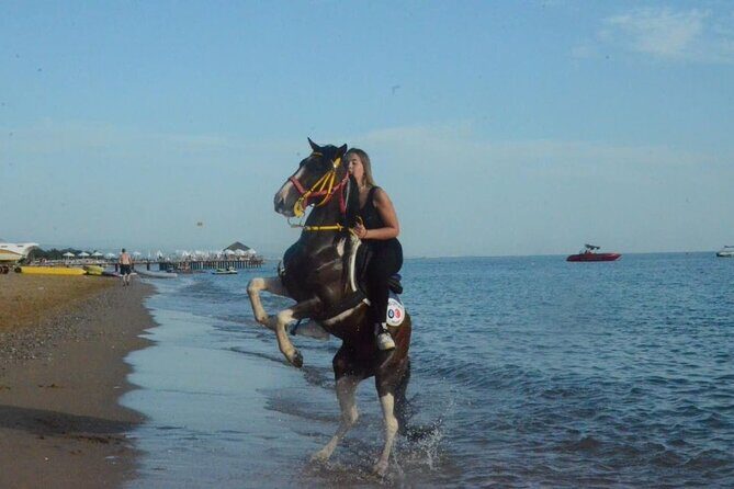 Horse Riding in Manavgat Side Forest and Beach - Why This Tour Offers Value and Authenticity