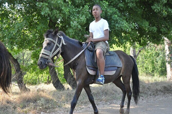 Horse Riding in Marmaris & Icmeler - Who Should Book This Horse Riding Tour?