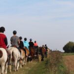 Horse riding in the French countryside - The Value of This Horseback Ride
