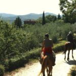 Horse Riding in Tuscany for Experienced Riders: Full-day Trail Ride - The Horses and the Guides
