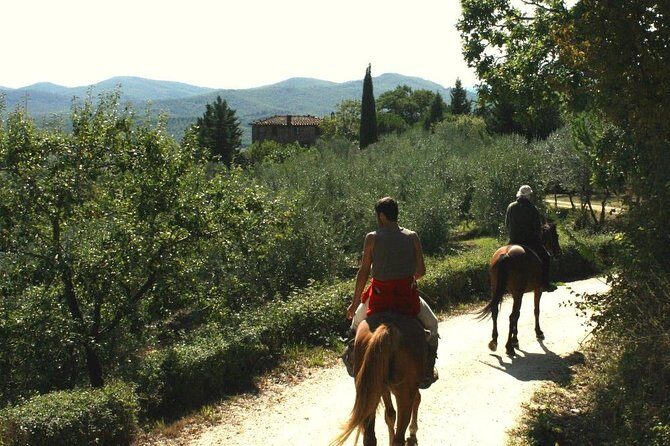 Horse Riding in Tuscany for Experienced Riders: Full-day Trail Ride - The Horses and the Guides