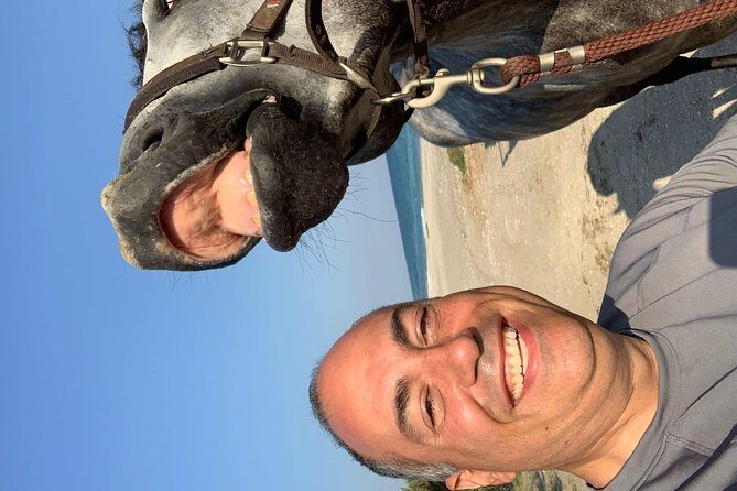Horse riding on the Beach, Rhodes - Authentic Feedback: What Travelers Say