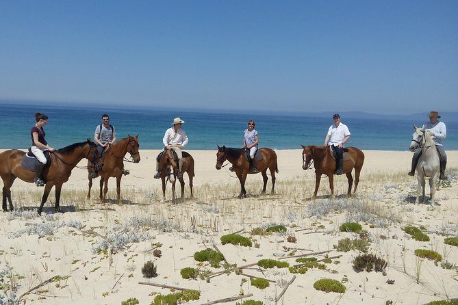 Horse Riding on the Beach Tour - What’s Included and What’s Not
