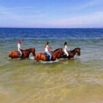 Horse riding on the beach, with private transfer from Lisbon - What the Tour Includes and What Not