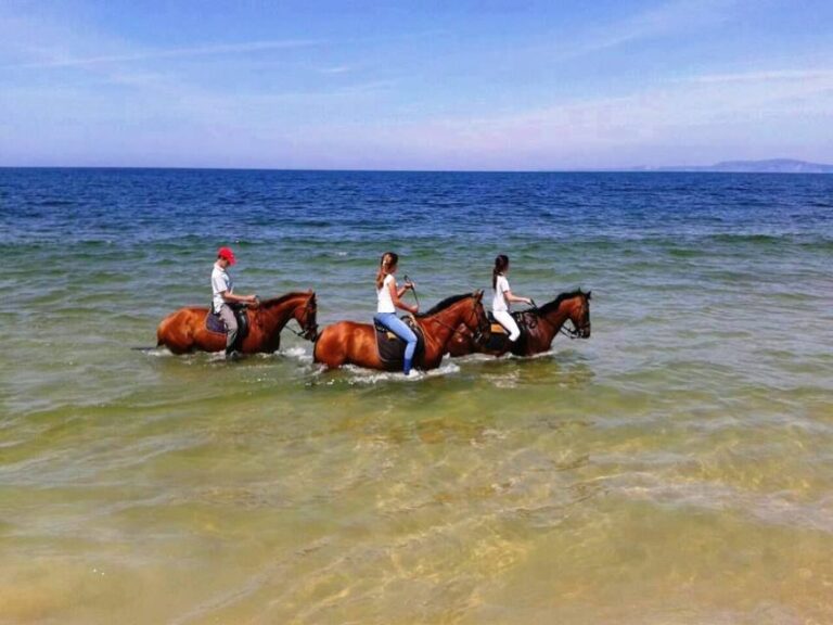 Horse riding on the beach, with private transfer from Lisbon - What the Tour Includes and What Not