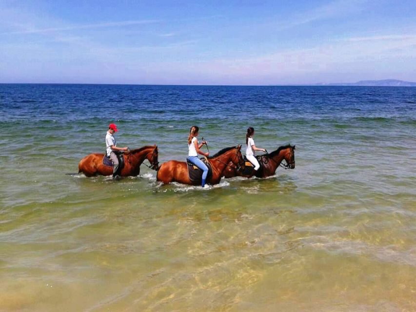 Horse riding on the beach, with private transfer from Lisbon - What the Tour Includes and What Not