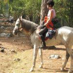 Horse Riding Tour in Bodrum with Hotel Pick Up - The Practical Side: What’s Included and What Not