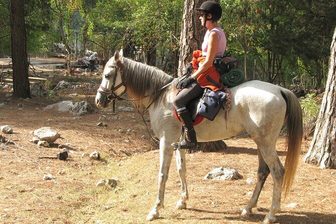 Horse Riding Tour in Bodrum with Hotel Pick Up - The Practical Side: What’s Included and What Not