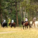 Horse Riding Tour in Marmaris - Detailed Breakdown of the Itinerary