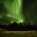 Horse Sleigh Ride Under The Night Sky in Apukka Resort, Rovaniemi - Who Will Love This Tour?