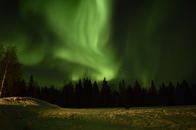 Horse Sleigh Ride Under The Night Sky in Apukka Resort, Rovaniemi - Who Will Love This Tour?