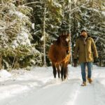 Horseback ride (1 hour) - The Value of This Horseback Ride
