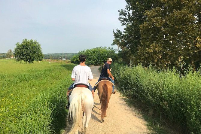 Horseback riding and wine tasting - Why This Tour Is Worth Considering