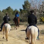 Horseback riding and wine tour (private tour) - Who This Tour Is Best For
