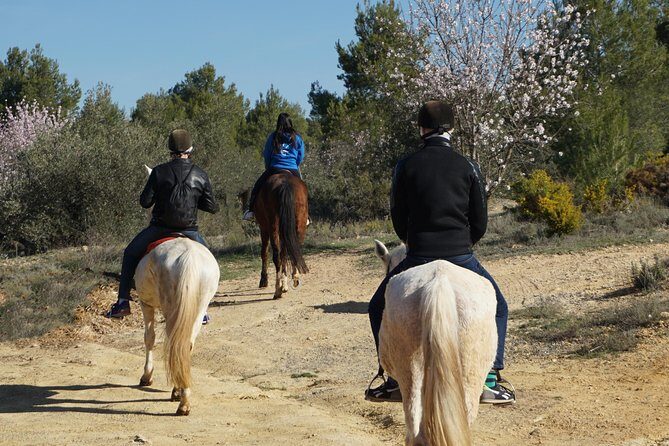Horseback riding and wine tour (private tour) - Who This Tour Is Best For