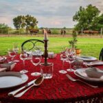 Horseback Riding and yurt stay in the Puszta, 1 hour morning ride - The Accommodation: Yurt Life in the Puszta