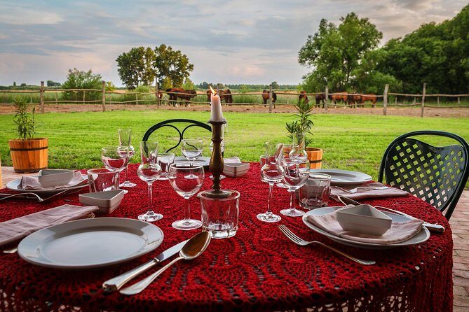 Horseback Riding and yurt stay in the Puszta, 1 hour morning ride - The Accommodation: Yurt Life in the Puszta