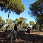 Horseback Riding Experience in Aljarafe, Doñana park from Seville - Why This Experience Is Worth It