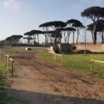 Horseback Riding Experience in Castel Fusano near Rome - Who Will Love This Tour?