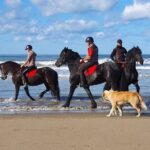 Horseback riding in Durrës - Who Would Love This Tour?