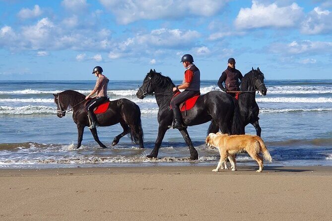Horseback riding in Durrës - Who Would Love This Tour?