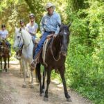 Horseback Riding in Montserrat Mountain Natural Park, Barcelona - 1 to 2 hrs - The Value of the Experience