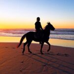 Horseback Riding in the sunset of Famara Beach, Lanzarote, Spain - Final Thoughts