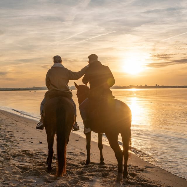 Horseback Riding On The Beach At Sunset - Why This Tour Offers Value