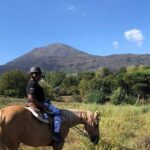 Horseback Riding on Vesuvius - The Horses and Guides