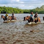 Horseback Riding to Maimon River from Punta Cana - Who Will Love This Tour?