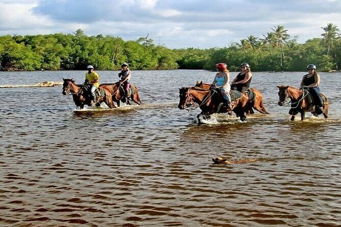 Horseback Riding to Maimon River from Punta Cana - Who Will Love This Tour?