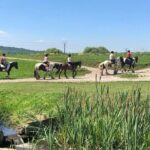 Horseback Riding Tour In Brasov - Ride Through Fields, Forests & Hills - Authenticity and Customer Feedback