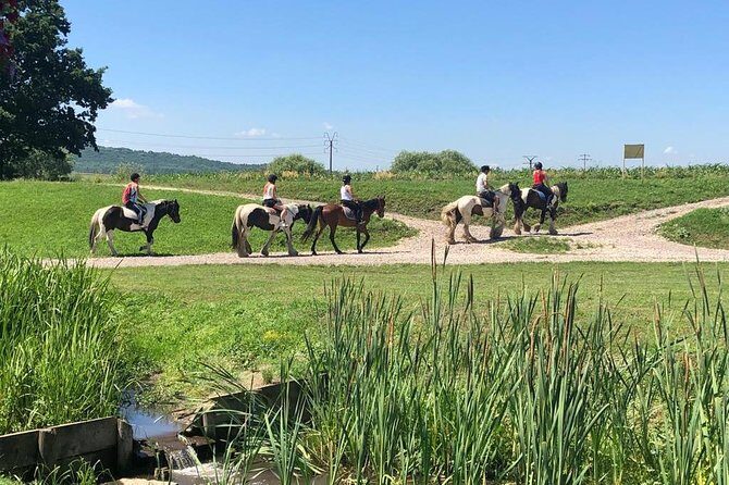 Horseback Riding Tour In Brasov - Ride Through Fields, Forests & Hills - Authenticity and Customer Feedback
