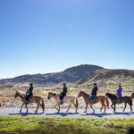 Horseback Riding Tour in Iceland - The Gear and Comfort: Everything Included