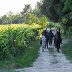 Horseback Riding Tour with Tuscan Picnic in Val d'Orcia and Valdichiana - The Value of the Experience