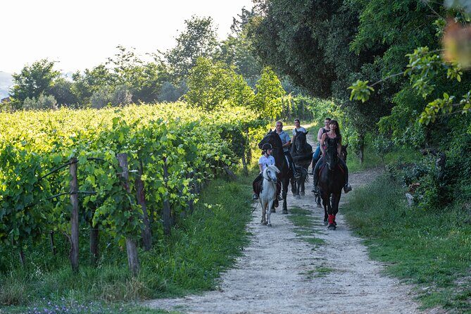 Horseback Riding Tour with Tuscan Picnic in Val d'Orcia and Valdichiana - The Value of the Experience