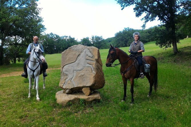 Horseback riding & Wine Tasting and snack Lunch at noble Estate - Analyzing the Value