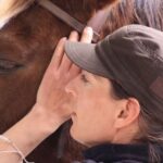 Horsebackriding - explore Tuscan nature - The Experience in Detail