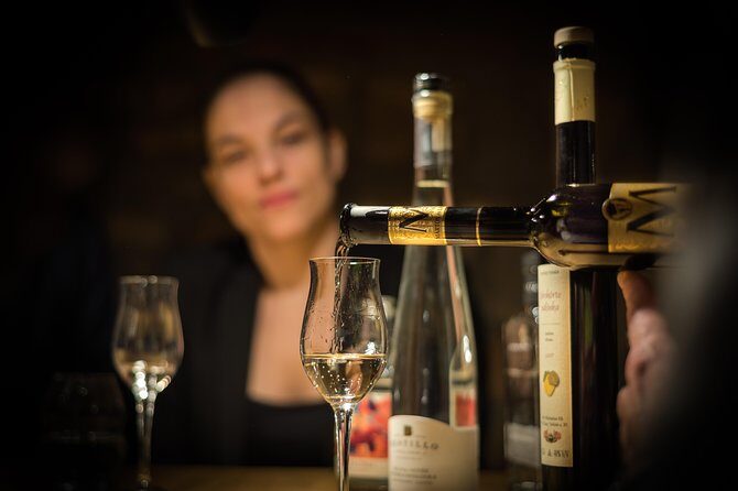 Hungarian Gastro Cellar: Assisted Tasting Options - A Closer Look at the Hungarian Gastro Cellar Tasting Experience